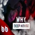WHY ( Deep House Remix ) 2019 - Burak Balkan Poster