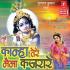 Main Barsane Ki Chhori Krishan Bhajan Mp3 Song Download Poster